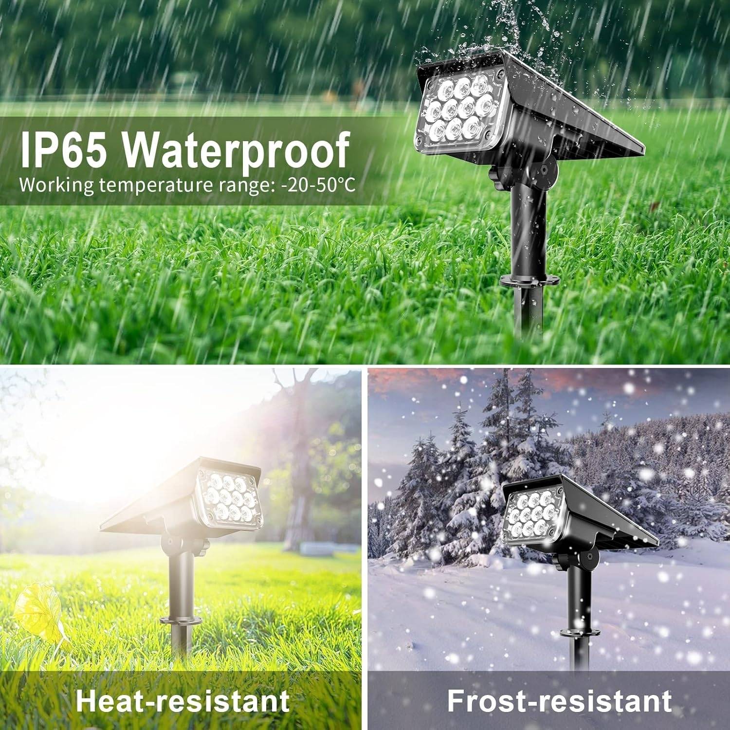 Solar Spot Light: image 4